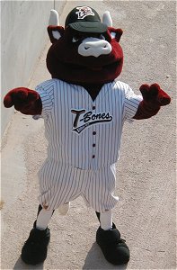 Photo of Sizzle the Bull