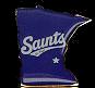 St. Paul Saints Minnesota pin