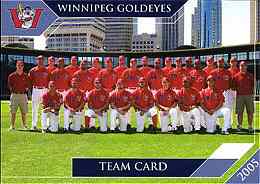 2004 Winnipeg Goldeyes team card