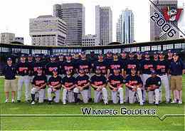 2006 Winnipeg Goldeyes team card